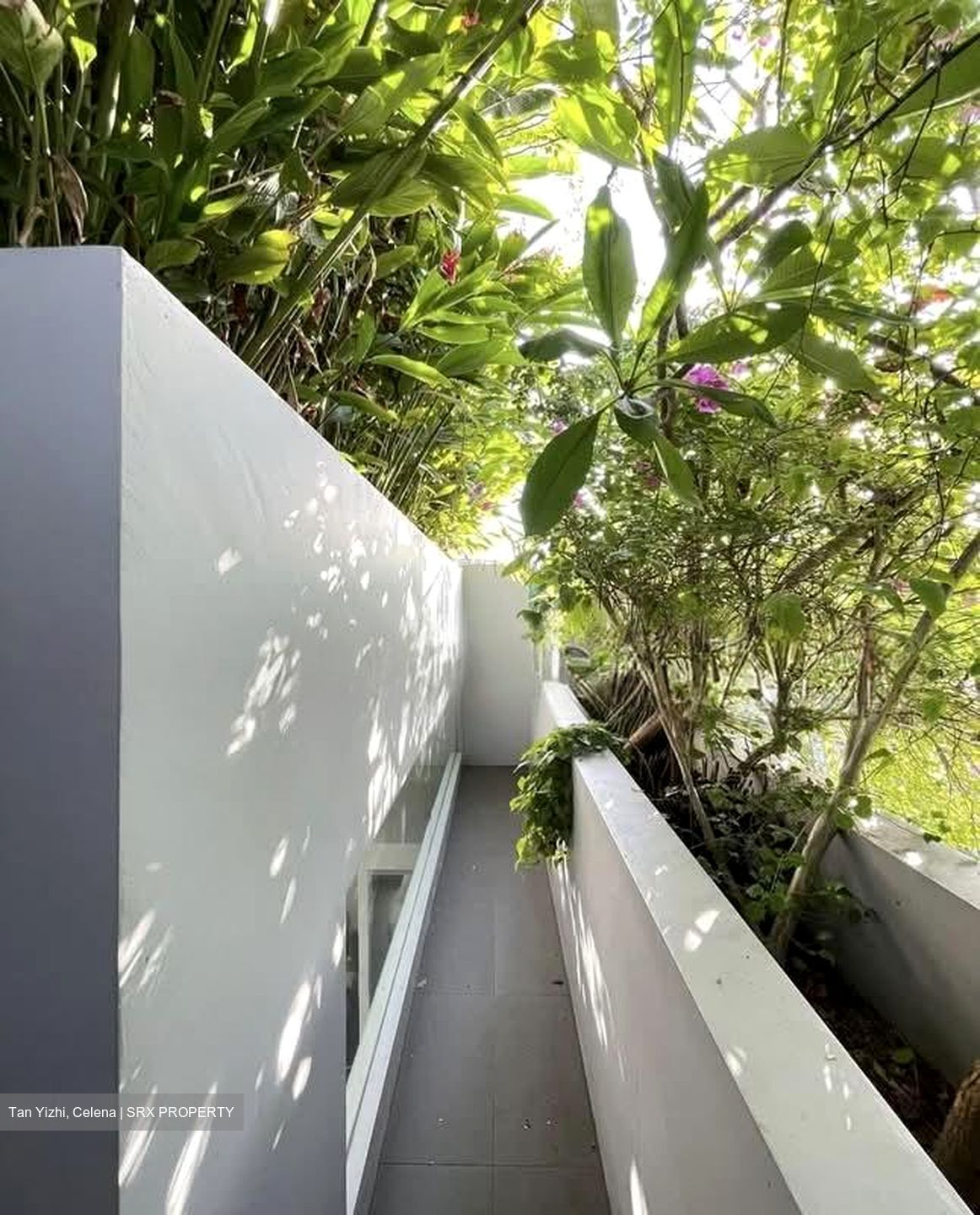 Opera Estate (D15), Terrace #547222971